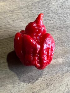Chilli Horg - chilli paprička