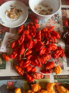 Chilli Horg - chilli papričky